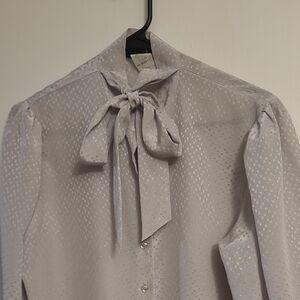 Elegant Sheer Button-Up Blouse
